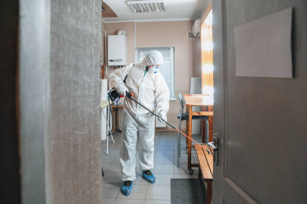 Best Industrial Mold Remediation  in Cherokee, IA