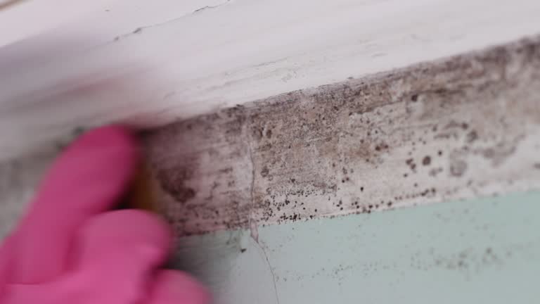 Best Residential Mold Inspection & Testing  in Cherokee, IA